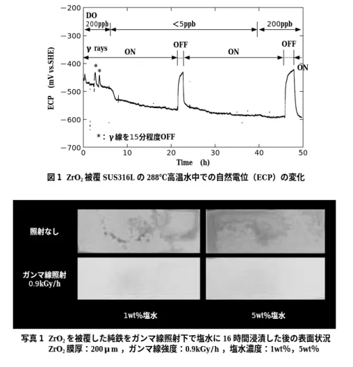 図 1  ZrO 2 被覆 SUS316L の 288℃高温水中での自然電位（ECP）の変化