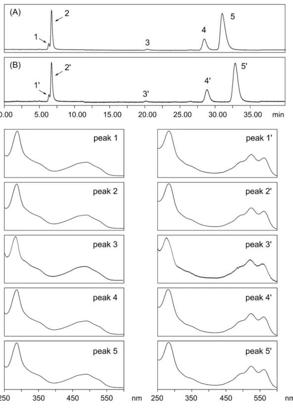 Fig. 2. LC/MS analysis of lac dye and ammonia-treated lac dye. 