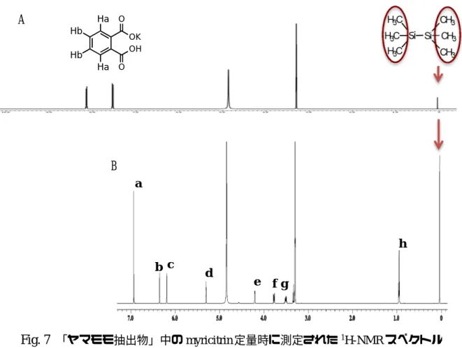 Fig. 7  「ヤマモモ抽出物」中の myricitrin 定量時に測定された 1 H-NMR スペクトル  A: qHNMR 用標準液に溶解した PHP のスペクトル