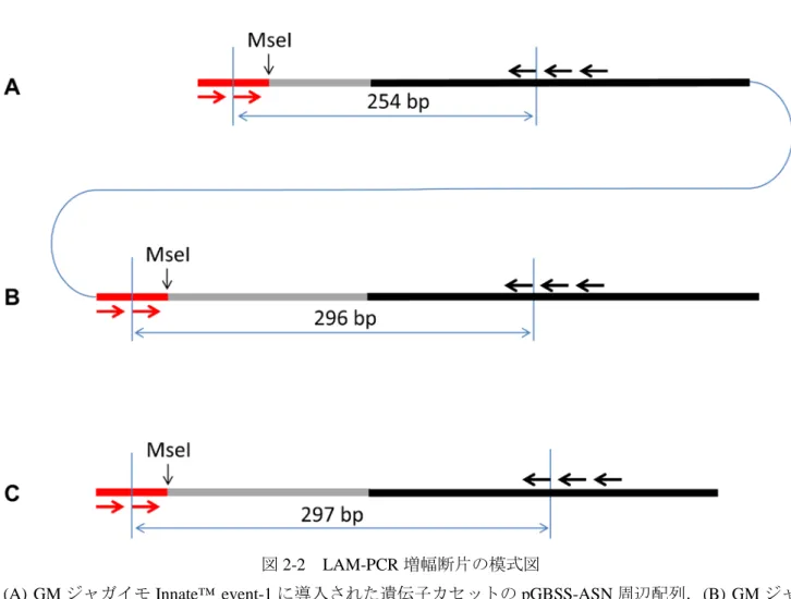 図 2-1  LAM-PCR 増幅断片周辺の DNA 配列（続き） 