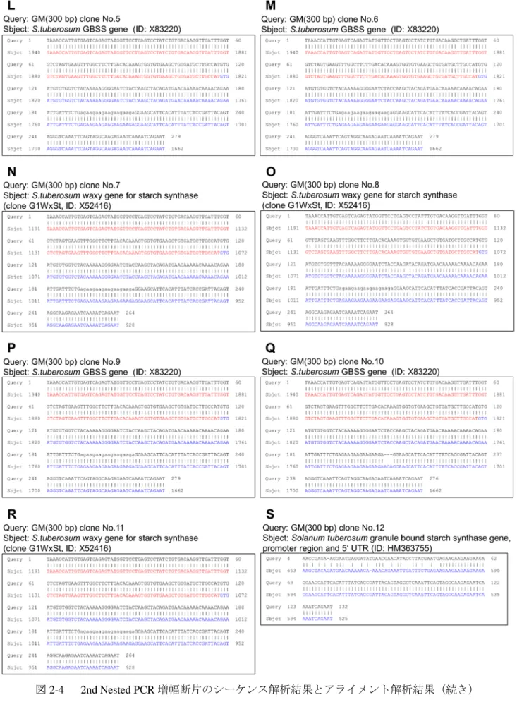 図 2-4    2nd Nested PCR 増幅断片のシーケンス解析結果とアライメント解析結果（続き） 