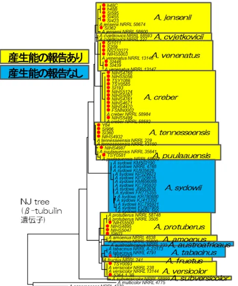 図 2 ．供試菌株の分生物学的同定 .  赤丸は供試菌株を示す。 