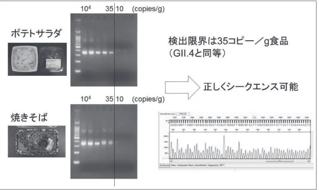 図 6   Nested RT-PCR による検出限界