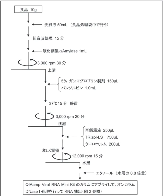 図 1  パンソルビン・トラップ法の操作手順 食品  10g 洗滌液50mL  （食品処理袋中で行う）3,000 rpm 30分上清 5% ガンマグロブリン製剤   150μL パンソルビン  1.0mL 37℃15分  静置3,000 rpm 20分沈澱 再懸濁液  250μL TRIzol-LS    750μL クロロホルム   200μL 12,000 rpm 15分激しく震盪 水層 エタノール （水層の 0.8 倍量）
