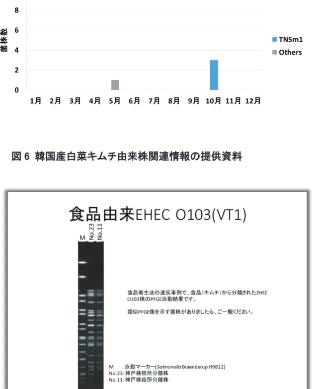 図 6  韓国産白菜キムチ由来株関連情報の提供資料 