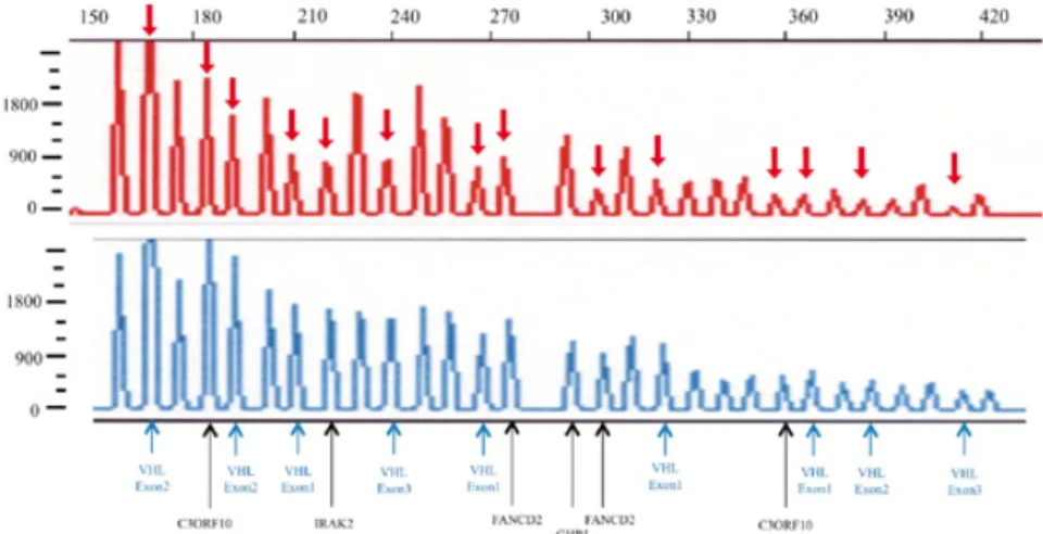 図 6-8 Multiplex ligation-dependent probe amplification(MLPA) 