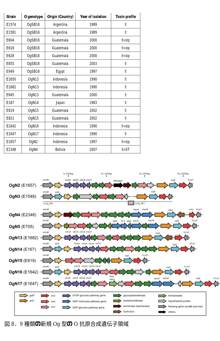 図 8 ． 9 種類の新規 Og 型の O 抗原合成遺伝子領域    