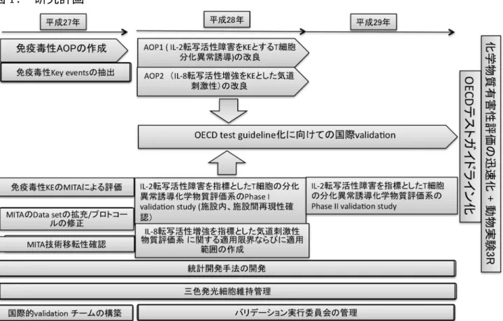 図 1.  研究計画 