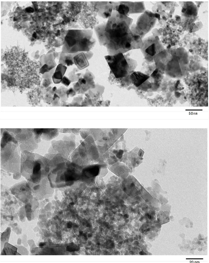 図 1. NiO-Sigma の TEM 画像 