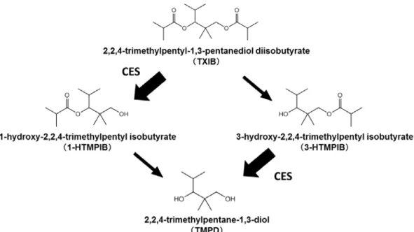 図   1.  Carboxyl esterase （ CES ）による TXIB の加水分解