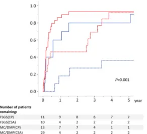 Fig. 3 Renal survival rate in subgroups based on the initial histopathological patterns [minimal change (MC)/diffuse mesangial proliferation (DMP) vs