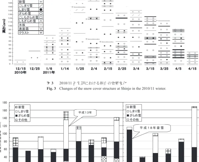 Fig. 3  Changes of the snow cover structure at Shinjo in the 2010/11 winter.