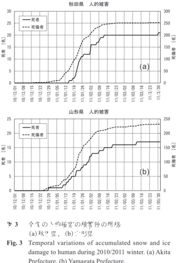 Fig. 3  Temporal variations of accumulated snow and ice  damage to human during 2010/2011 winter