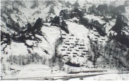 図 15.4  斜面積雪の堆積状況（撮影： 2010 年 4 月 2 日，阿部孝幸）