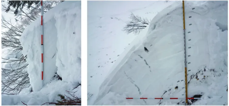 Fig. 5  Proﬁles obtained by snow pit observation at the top (left) and middle (right) of the slope where the avalanche occurred (each  vertical axis has different scale)