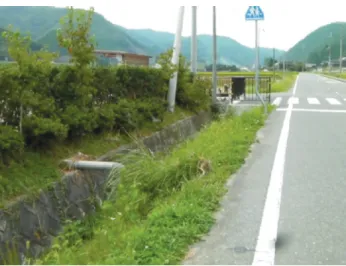 表 3  佐用町本郷地区の水害の時間経過 Table 3  Timeline of the August 2009 ﬂood disaster 