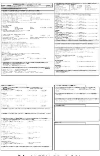 Fig. 1  Survey form.