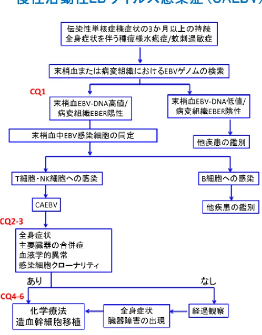 図 1 慢性活動性 EB ウイルス感染症（ CAEBV ）に対する診療アルゴリズム 