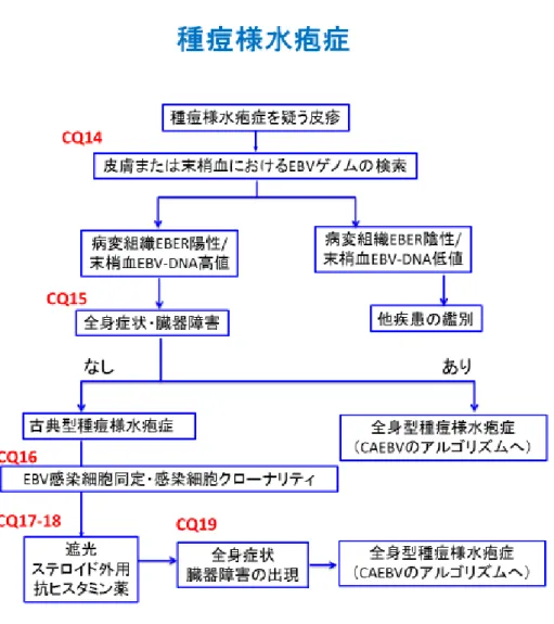 図 3 種痘様水疱症に対する診療アルゴリズム 