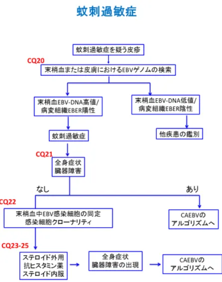 図 4 蚊刺過敏症に対する診療アルゴリズム 