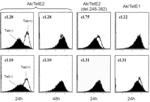 図  図1. EBNA2発現の誘導によるAkata細胞表面IgG発現の一過性の抑制.   野生型EBNA2を発現するAkata細胞（Ak/TetE2） （cl.28およびcl.10）、  RBP-Jκ結合部位欠損EBNA2を発現するAkata細胞（Ak/TetE2(del.248-382）) （cl.75およびcl.31）、対照としてEBNA1を発現するAkata細 胞（Ak/TetE1）（cl.22およびcl.31）における細胞表面IgG発現レベ ルをフローサイトメトリーで測定した。これらの細胞ではテトラ