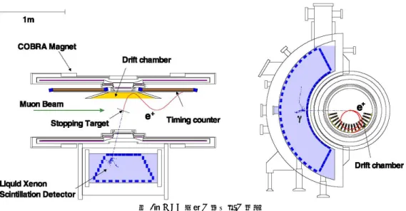 図 3：MEG 実験の検出器の概要      3.2  COBRA 陽電子スペクトロメータ 図 3 に MEG 実験に使用される検出器を示す。  m +  e + g 崩壊からの陽電子は COBRA と呼ばれる特殊 勾配磁場を持つ超伝導電磁石により曲げられ，その飛跡が ドリフトチェンバーによって記録され，最終的にはタイミ ングカウンターで時間が計測される。磁場の大きさは， COBRA 中心では 1.27 T であり中心から離れるに従って弱 くなり，両端で 0.49 T となる。この特殊勾配磁場はターゲッ 