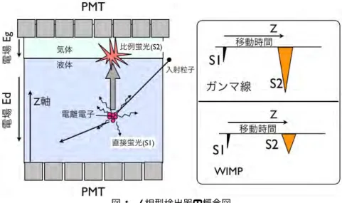 図 3  2 相型検出器の概念図  検出器は液層と蒸気の気層からなり， 上下に並べられた PMTによって信号が読み出される。 S1 と S2 の時間差は電離電子の移動時間に相当し，Z 方向の位置情報となる。  再結合する割合が多く， S2 信号は反跳電子より小さくなる。 よって図 3 のように，S1 と S2 の比を見ることによって， 反跳粒子を弁別することができる。  5.  XENON10 