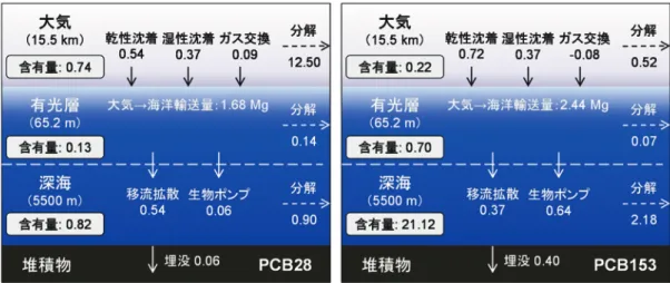 図 4　大気と海洋における PCB28（左）と PCB153（右）の全球収支の推定結果（2007 年）．