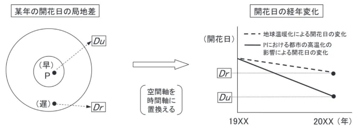 図 2　開花日に及ぼす都市の高温化の考え方．  左図で Du は気象官署 P の開花日，Dr は郊外の開花日をあらわす．これらを P における経年変化に置換すると， Dr は地球温暖化のみの影響による開花日，Du は都市の温暖化の影響を含んだ開花日となる． 0：花芽成長前 1：花芽膨張始め 2：花芽膨張期 3：花蕾抽出始め 4：花蕾抽出期 5：開花日 評点 発育段階 花芽の状況 0 花芽成長前 花芽の前面が褐色鱗片で覆われている 1 花芽膨張始め 花芽の鱗片が脱落し始め，先端が緑色になる 2 花芽膨張期 花
