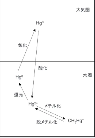 図 1　����に���水銀の化学形態の変化． 1　����に���水銀の化学形態の変化． 　����に���水銀の化学形態の変化．