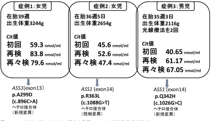 図 1.  NBS におけるシトルリン軽度上昇例  ASS1 ヘテロ接合体の同定   