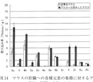 図 14　…マウスの肝臓への各種元素の集積に対するア ルコール投与の影響。白棒：しらふのマウス、