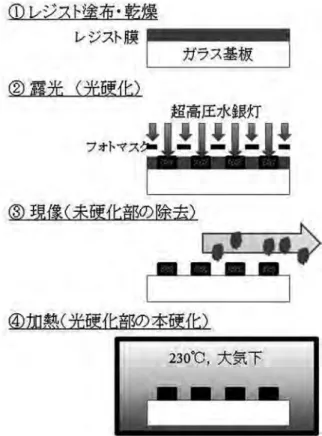 図 1　LCD パネルの製造プロセス（略図）1．はじめに　感光性材料は、電子情報分野において欠かすことのできない材料であり、塗料、製版材料、印刷インキ、接着剤などの分野だけではなく、液晶ディスプレイなどのフラットパネルディスプレイや、ホログラム材 料、プリント配線基板、半導体材料などの電子部品の製造に多く用いられている。感光性材料の中で、光エネルギーを用いてラジカルや酸、塩基等、重合活性種を発生させる化合物を光開始剤と言い、樹脂配合物の特性を決定するうえで重要な成分である。当社では各重合活性種を発生する材料