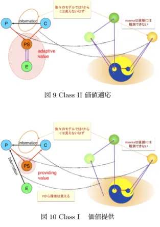 図 9 Class II 価値適応