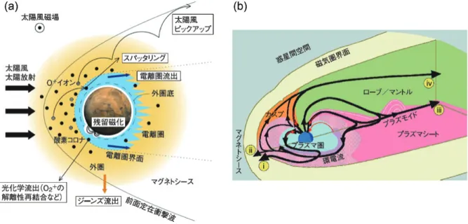 図 3　 （a）  グローバルな固有磁場を持たない火星からの大気流出機構  （原図提供 : 寺田香織氏）．（b）  固有磁場を持つ地球からの 4 つの電離大気流出主要ルート  （Seki et al