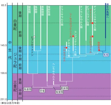 図 2　恐竜の系統図の一例．本文に出てくる種類を系統図上にプロットした（作図：大橋智之）．