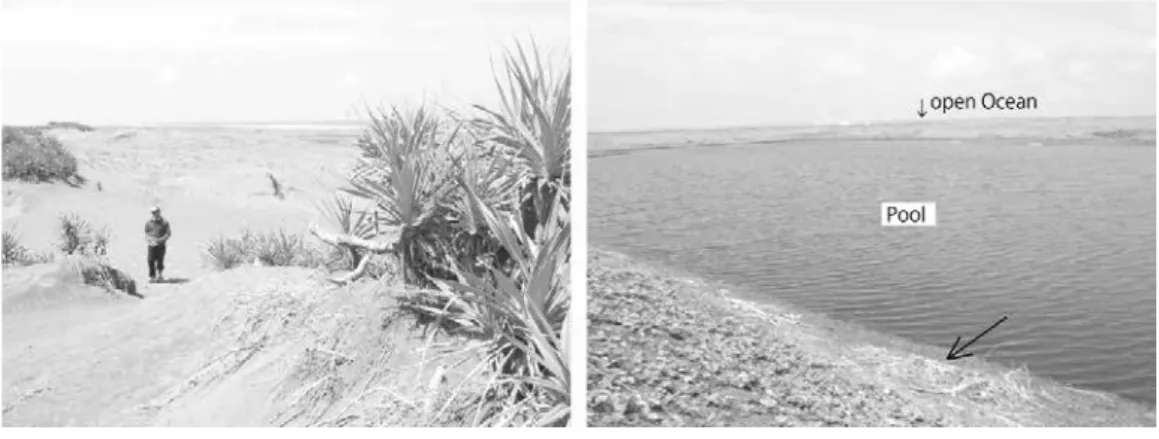 Fig. 15 　 Pantai Rowo の測定点