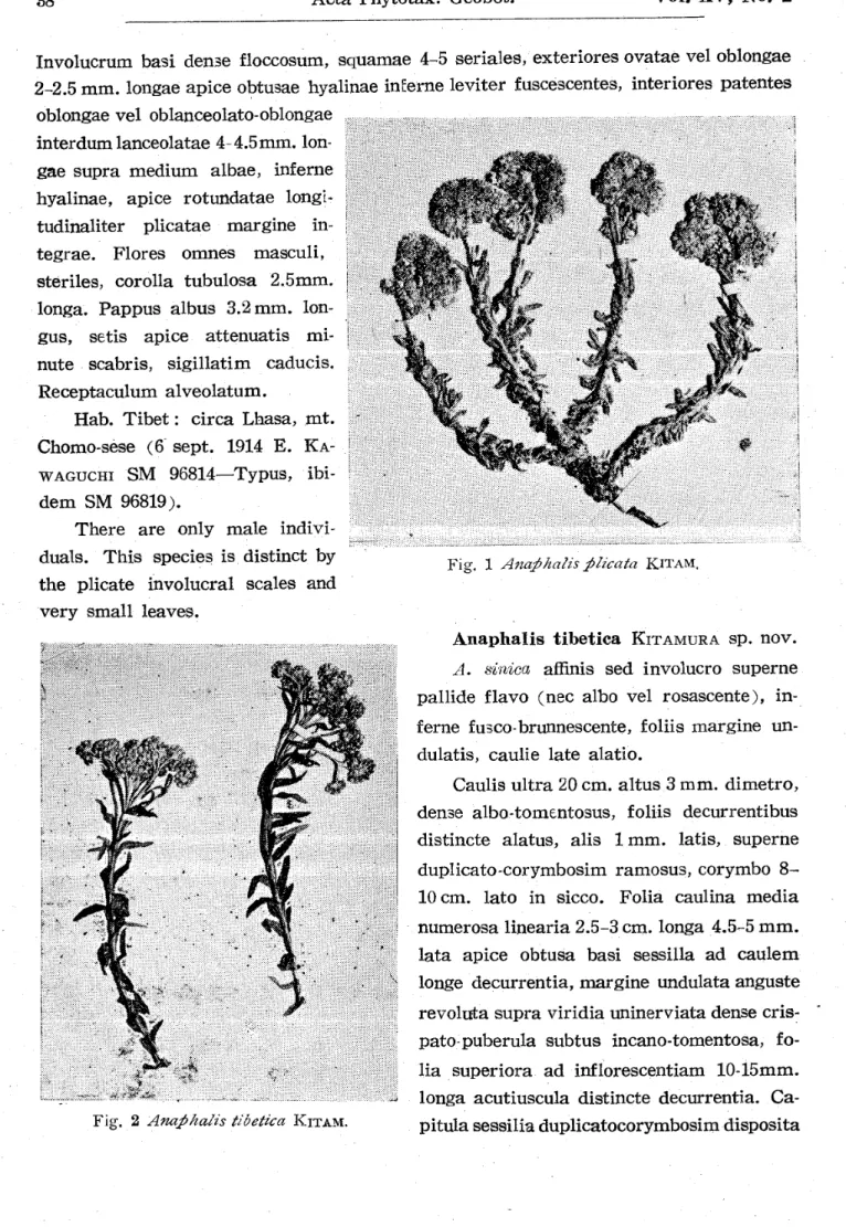 Fig, 1 AfmpkalisPinata KITAM,
