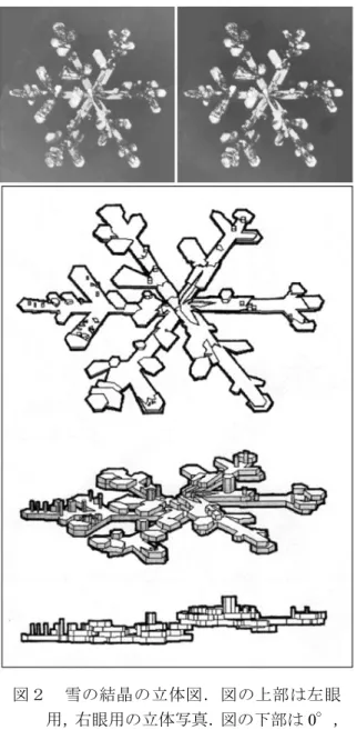 図 1 に示された雪の結晶は， 2020 年 3 月 3 日 に大雪山系旭岳の麓で撮影された樹枝状結晶で， 3mm ほどの径のものである．このときの降雪は， 前線を伴う低気圧が北海道の中央部を西から東 へと通過したことによるもので，雲粒付結晶がほ とんどを占めていた．そして，これらの雲粒付結 晶のなかに，六角板状のいわゆる氷晶状の小結晶 が凍結雲粒のなかに混在していることが見いだ された．それが図 1 に示された結晶である． ３．雲粒の凍結による小結晶の形成    図 1 の A において，矢印が付された小