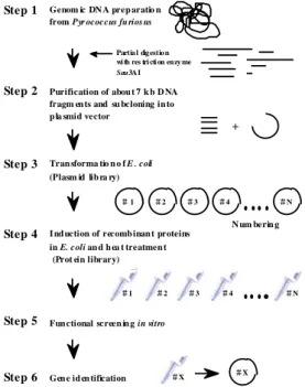 Figure 2. Expression cloning of P. furiosus genes to  identify protein function at the proteome level