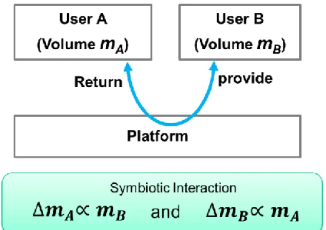 Figure 3    The simplified dynamic model of two-sided network 