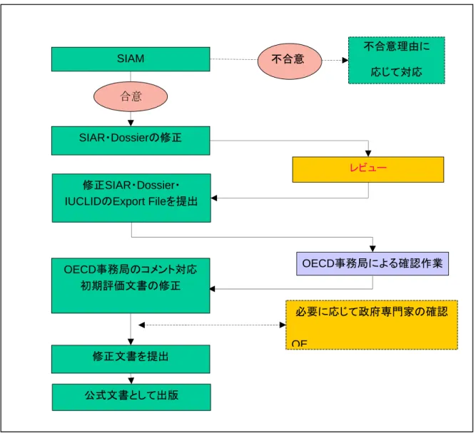 図 4 SIAM 後の初期評価文書の出版までの流れ