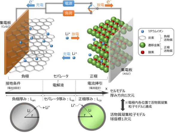 図 1  DFN モデルの概念図  3  LiB の物理モデル  本稿で用いた解析モデルは， LiB 内部の主要な物理 現象をモデル化した Doyle-Fuller-Newman（DFN）モ デル 5,6) をベースとした． DFN モデルの概要と改良点 について述べる．  3.1  モデルの概要  LiB の内部における諸現象の概念図を図 1 に示す． ここでは， LiB 放電時の内部現象を追いながら，モデ ル化されるべき主要な物理現象について説明する．  負極活物質から電気化学反応によって電解質へ移 動