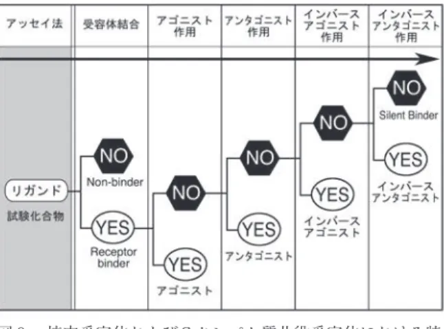図 8  Alaスキャニングした疼痛ペプチド・ノシセプチン受 容体のORL1．赤色，Alaスキャニングした ７ 回膜貫 通ドメインおよび第 8 ヘリックス（横向き）；薄青色， 細胞膜内および外のループ． 図 9 核内受容体およびＧタンパク質共役受容体における特異的リガンドの受容体応答解析スキーム．