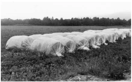 Figure 6 shows plastic bag silos.