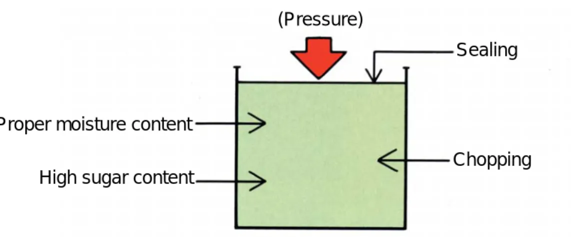 Figure 8. Important points for silage making