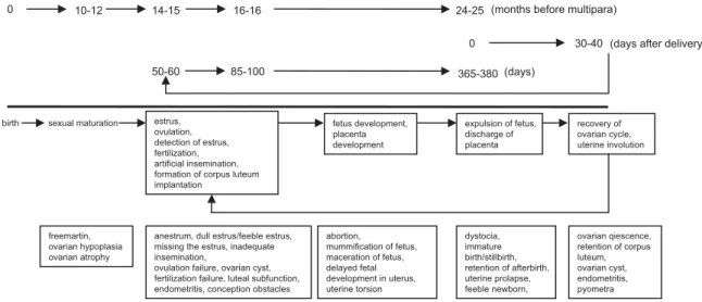 Fig III-1.  Reproduction cycle and important breeding disorders in cows 