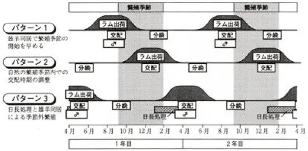 図 9 母羊の繁殖パターンに基づくラムの通年出荷プログラム ② 泌乳していないサフォーク種雌羊群にタイマーを使 って、 月下旬から日長処理 1 (長日 5 週間、中間日長 8 週間）を施し、日長処理終了 の 11 日前（ 月中旬）から種4 雄羊を同居させたところ、 頭中6 5 頭が妊娠した。 この方法は、処理期間中に分娩、泌乳しない雌羊に有効と考えられる。 ③ ラム肉の通年出荷に向けてのプログラムの作成。 ラム肉の出荷月齢 を 6 〜 9 カ月とした場合、 カ月毎に分娩させると 、ラム肉を安4 定して周年出