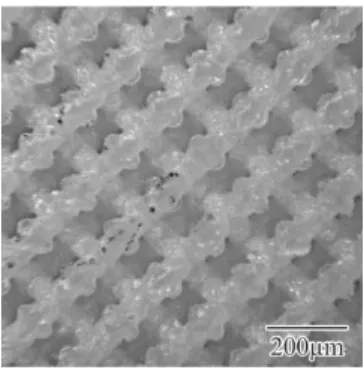 図 4　光造形された誘電体フォトニック結晶 図 5　テラヘルツ共振器の構造模式図ガラス板フォトニック結晶アクリル枠アパチャーテラヘルツ波水溶液 図 6　フォトニックバンドギャップと局在モード公益社団法人 化学工学会 http://www.scej.org/ 著作権法により無断での転載等は禁止されています   
