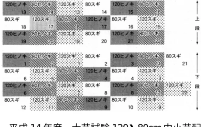 図 1  平成 14 年度  大苗試験 120・80cm 中小苗配置図  図 2  平成 14 年度  大苗試験 150cm 大苗配置図  ・  平成 14 年度は上勝町試験地で，スギ・ヒノキのポット苗を用いて各々に 150cm 大苗 45 本， 120cm 大苗 44 本， 80cm 中苗 44 本計 266 本を H14・5 月に植林した。また 150cm 大苗には皮剥 防止材 4 種(ザバーン，不織布テープ，ラクトロンテープ，硬質荷造りテープ)，120cm 大苗の 半数には皮剥防止材 1 種(ラクトロ